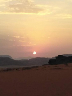 Wadi rum nights